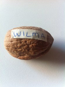 Walnut named Wilma